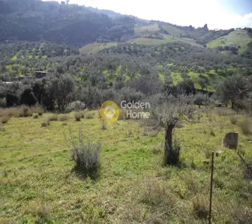Residential 2200m<sup>2</sup> for sale photo 1