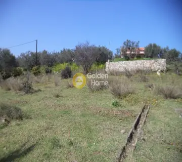 Residential 2200m<sup>2</sup> for sale photo 5