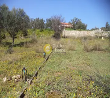 Residential 2200m<sup>2</sup> for sale photo 6