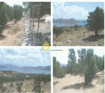 Parcel 5870m<sup>2</sup> for sale photo 1