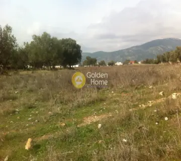 Οικιστικό 1550τ.μ. προς πώληση φωτογραφία 2