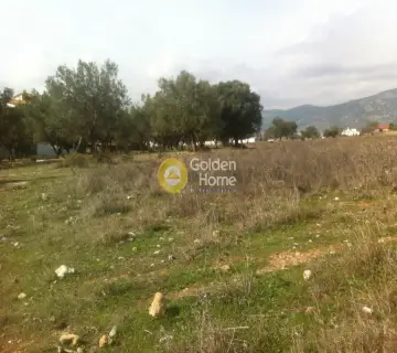 Οικιστικό 632τ.μ. προς πώληση φωτογραφία 1