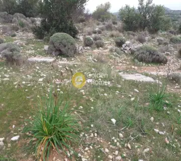 Parcel 18000m<sup>2</sup> for sale photo 5