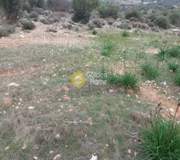 Parcel 18000m<sup>2</sup> for sale photo 7