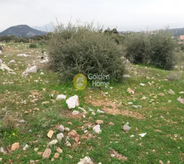 Parcel 18000m<sup>2</sup> for sale photo 9