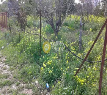 Οικιστικό 485τ.μ. προς πώληση φωτογραφία 2