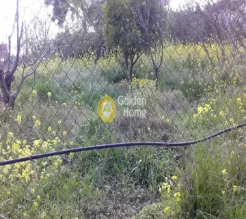 Οικιστικό 485τ.μ. προς πώληση φωτογραφία 3