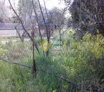 Οικιστικό 485τ.μ. προς πώληση φωτογραφία 4