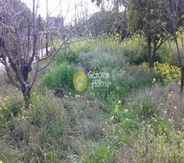 Οικιστικό 485τ.μ. προς πώληση φωτογραφία 6