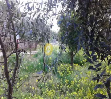 Οικιστικό 485τ.μ. προς πώληση φωτογραφία 7