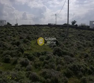 Residential 4300m<sup>2</sup> for sale photo 2
