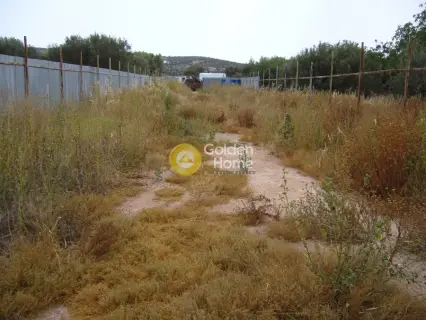 Professional Plot 2600m<sup>2</sup> for sale photo 4