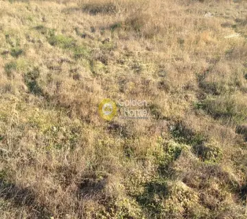 Αγροτεμάχιο 4200τ.μ. προς ενοικίαση φωτογραφία 1