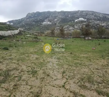 Residential 6500m<sup>2</sup> for sale photo 6