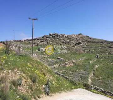 Professional Plot 20000m<sup>2</sup> for sale photo 2