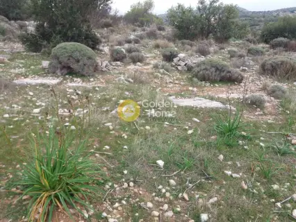 Parcel 9000m<sup>2</sup> for sale photo 3