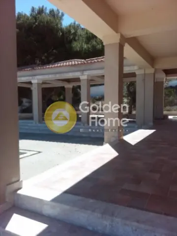 Μονοκατοικία 830τ.μ. προς πώληση φωτογραφία 10