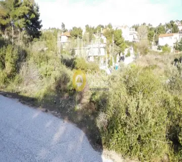 Residential 525m<sup>2</sup> for sale photo 6