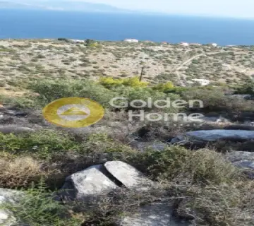Residential 1000m<sup>2</sup> for sale photo 11