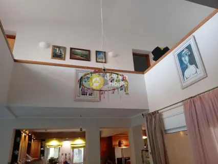 Μονοκατοικία 510τ.μ. προς πώληση φωτογραφία 13