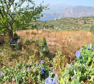 Area 1033m<sup>2</sup> for sale photo 4
