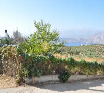 Area 1033m<sup>2</sup> for sale photo 3