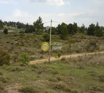 Parcel 4000m<sup>2</sup> for sale photo 5