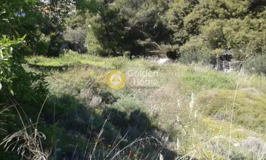 Οικιστικό 589τ.μ. προς πώληση φωτογραφία 3