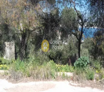 住宅 543m<sup>2</sup> for sale photo 5