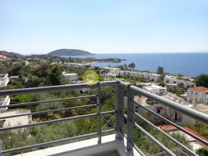 Μονοκατοικία 518τ.μ. προς πώληση φωτογραφία 2