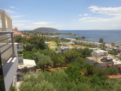 Μονοκατοικία 518τ.μ. προς πώληση φωτογραφία 17