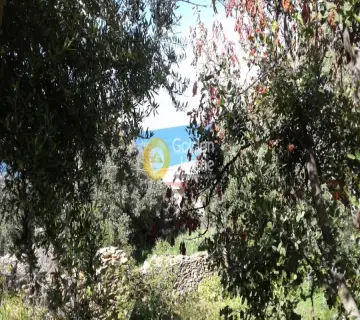 独立复式小屋 226m<sup>2</sup> for sale photo 5