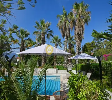 Golden Home Property Image