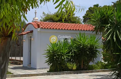 House 350m<sup>2</sup> for sale photo 71
