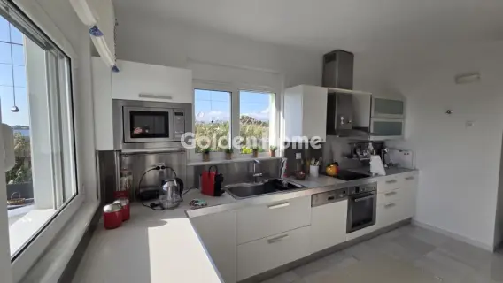 Μονοκατοικία 384τ.μ. προς πώληση φωτογραφία 3