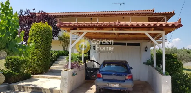 Golden Home Property Image