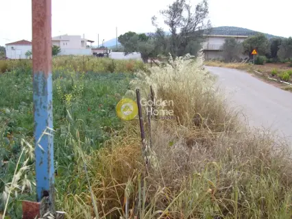 Professional Plot 2590m<sup>2</sup> for sale photo 1