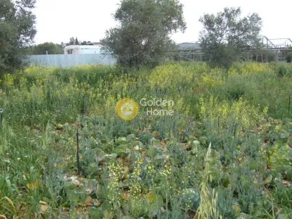 Professional Plot 2590m<sup>2</sup> for sale photo 3