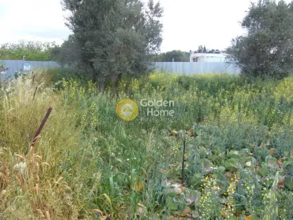 Professional Plot 2590m<sup>2</sup> for sale photo 4