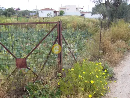 Professional Plot 2590m<sup>2</sup> for sale photo 2
