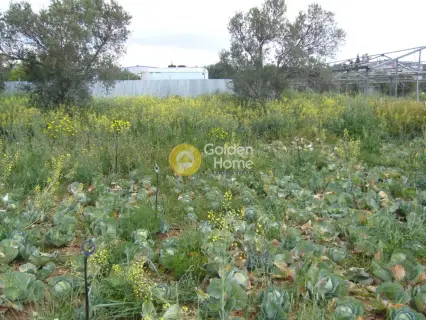 Professional Plot 2590m<sup>2</sup> for sale photo 5