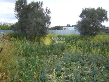 Professional Plot 2590m<sup>2</sup> for sale photo 14