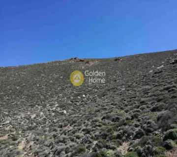 Residential 36000m<sup>2</sup> for sale photo 5