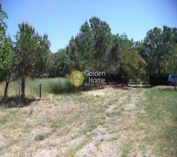 Residential 750m<sup>2</sup> for sale photo 4