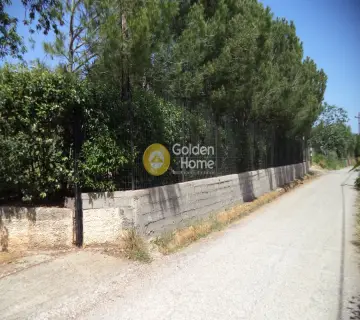 Residential 750m<sup>2</sup> for sale photo 1
