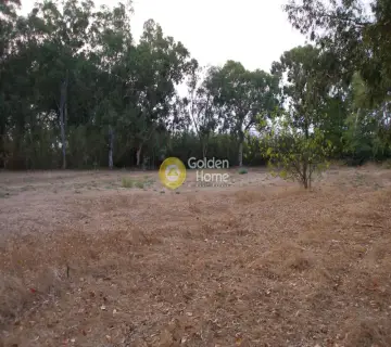 Professional Plot 16000m<sup>2</sup> for sale photo 3560289