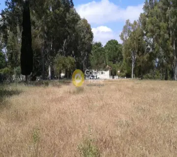 Professional Plot 16000m<sup>2</sup> for sale photo 3560291