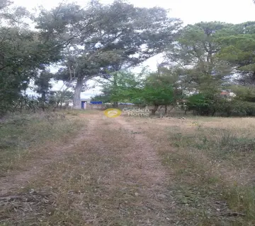 Professional Plot 16000m<sup>2</sup> for sale photo 3560292