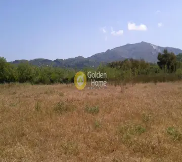 Professional Plot 16000m<sup>2</sup> for sale photo 3560293