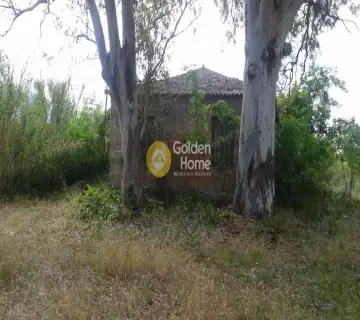 Professional Plot 16000m<sup>2</sup> for sale photo 3560295